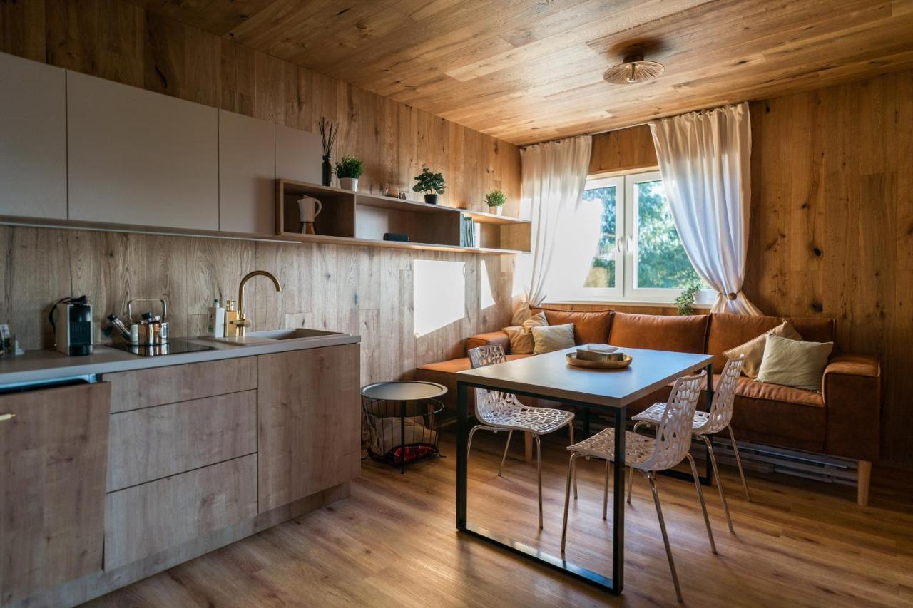 Unique Lipno Apartment Черна-в-Пошумаві Екстер'єр фото